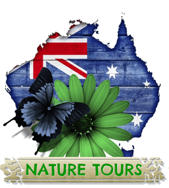 Nature tours